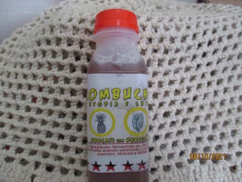 Kombucha 1 Kombucha sabores abacaxi com hortelã ou gengibre, cravo e canela. 5 garrafas de 300ml cada