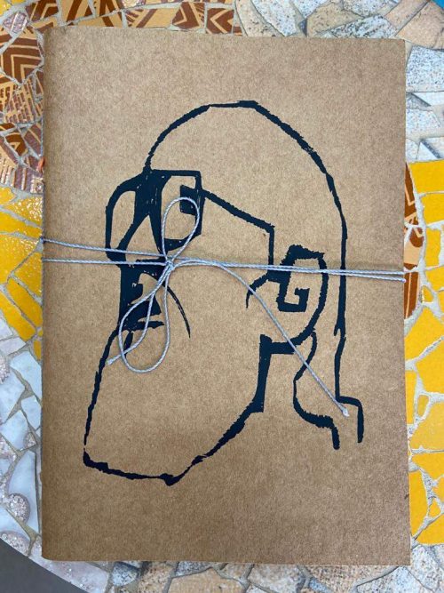 PLANNER PAULO FREIRE PLANNER PAULO FREIRE: MEDIDAS: 21cm X 15cm